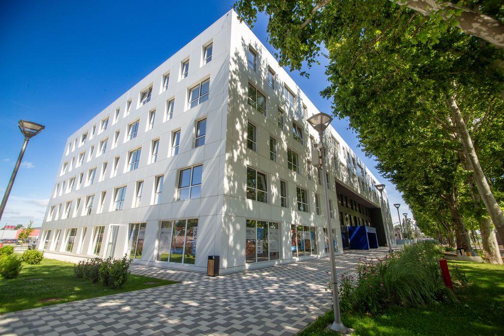 AFI Zmaj