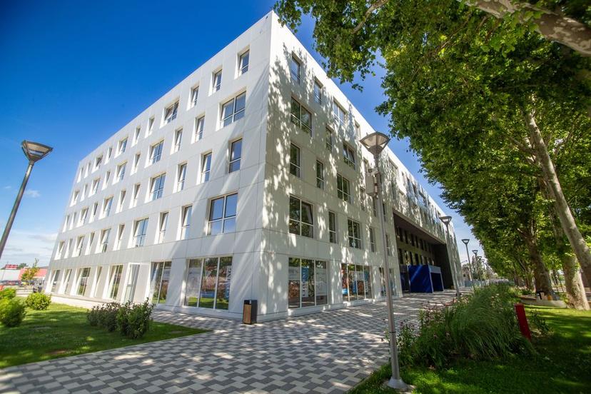 AFI Zmaj